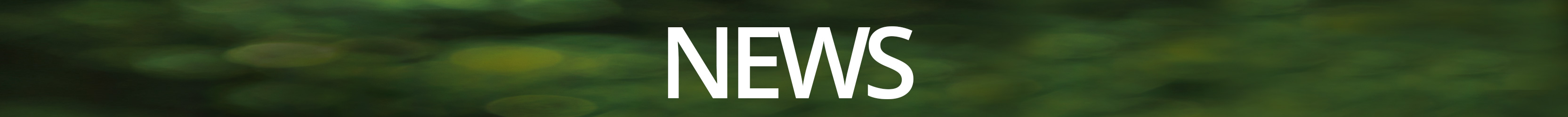 news-banner-green-center